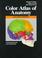 Cover of: Color atlas of anatomy