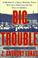 Cover of: Big trouble