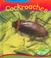 Cover of: Cockroaches