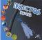 Cover of: Insectos