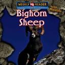 Cover of: Bighorn sheep by JoAnn Early Macken