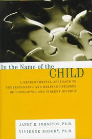 Cover of: In the name of the child: a developmental approach to understanding and helping children of conflicted and violent divorce