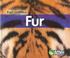 Cover of: Fur