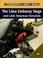 Cover of: The Lima Embassy siege and Latin American terrorism