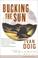 Cover of: BUCKING THE SUN 