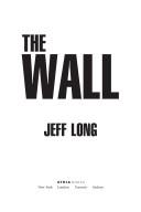 Cover of: The wall: a thriller