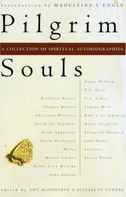 Cover of: Pilgrim souls: an anthology of spiritual autobiographies