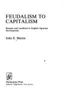 Cover of: Feudalism to capitalism by Martin, John E.