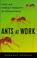 Cover of: Ants At Work