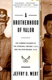 Cover of: A Brotherhood Of Valor by Jeffry D. Wert