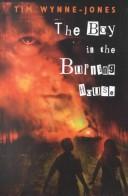 the-boy-in-the-burning-house-cover
