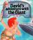 Cover of: David's Adventure With the Giant (Bible Flap Book Series)