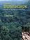 Cover of: A review of dipterocarps