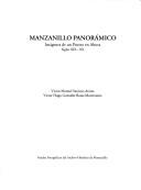 Manzanillo panorámico by Víctor Santoyo Araiza
