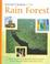 Cover of: Survivor's science in the rain forest