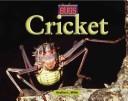 Cover of: Cricket