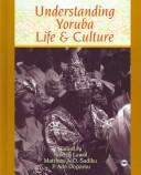 Cover of: Understanding Yoruba life and culture by edited by Nike Lawal, Matthew N.O. Sadiku & Ade Dopamu.