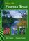 Cover of: Along the Florida Trail