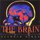 Cover of: The brain