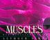 Cover of: Muscles