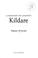 Cover of: A history of County Kildare