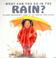 Cover of: What can you do in the rain?