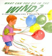 Cover of: What can you do in the wind?