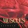 Cover of: Muscles