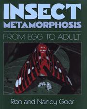 Cover of: Insect metamorphosis: from egg to adult