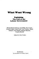 Cover of: What went wrong: explaining the fall of the Labour Government