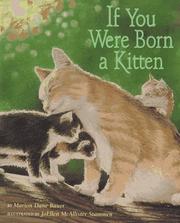 Cover of: If you were born a kitten by Marion Dane Bauer