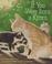 Cover of: If you were born a kitten