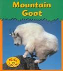 Mountain goat