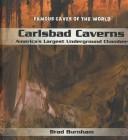 Carlsbad Caverns by Brad Burnham