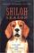 Cover of: Shiloh season