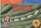Cover of: Bean