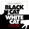 Cover of: Black Cat, White Cat