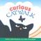Cover of: Curious catwalk