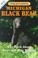 Cover of: Understanding Michigan black bear