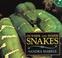 Cover of: Outside and Inside Snakes