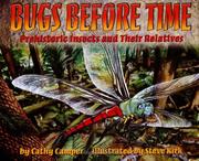 Cover of: Bugs before time: prehistoric insects and their relatives