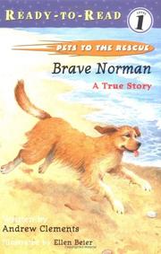 Cover of: Brave Norman