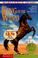 Cover of: King of the Wind - Newbery Promo '99