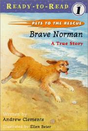 Cover of: Brave Norman  by Andrew Clements