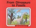 Cover of: From dinosaurs to fossils