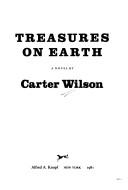 Cover of: Treasures on earth: a novel