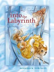 Cover of: Into the Labyrinth | Rod Townley