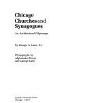 Chicago churches and synagogues by Lane, George