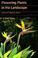 Cover of: Flowering plants in the landscape