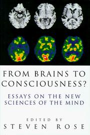 Cover of: From brains to consciousness?: essays on the new sciences of the mind